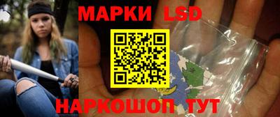 PSILOCYBIN Ярославль
