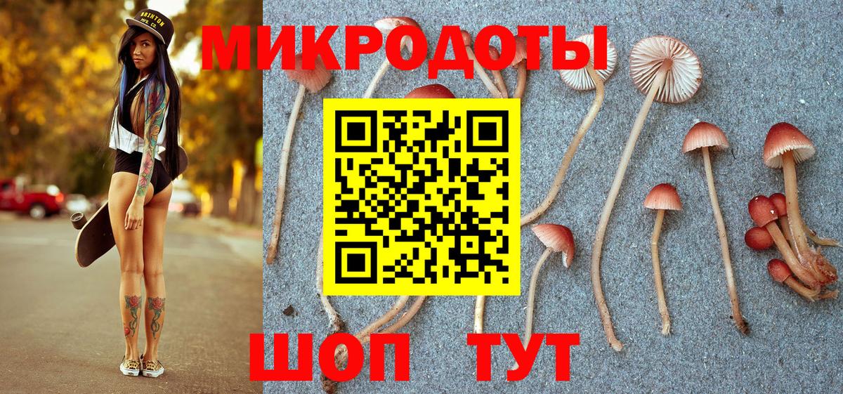 Псилоцибиновые грибы Magic Shrooms  Псилоцибиновые грибы мицелий  Вход с VPN  Аргун 